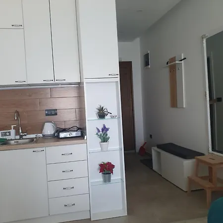Snezna Pahuljica P19 Apartamento Kopaonik
